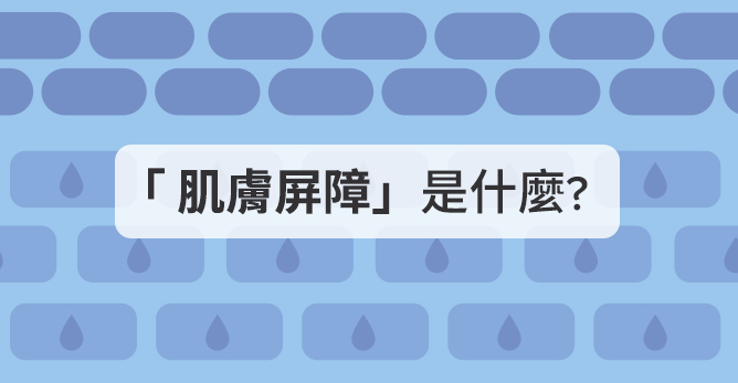 肌膚屏障是什麼？它對肌膚的影響為何？