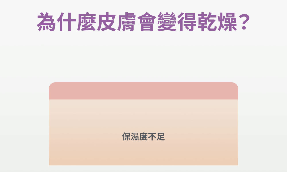 為什麼皮膚會變得乾燥