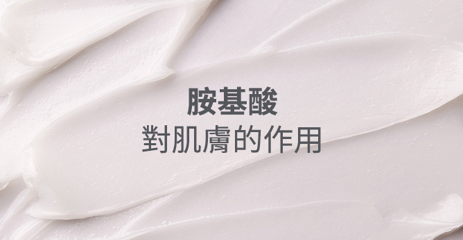 胺基酸對肌膚的作用