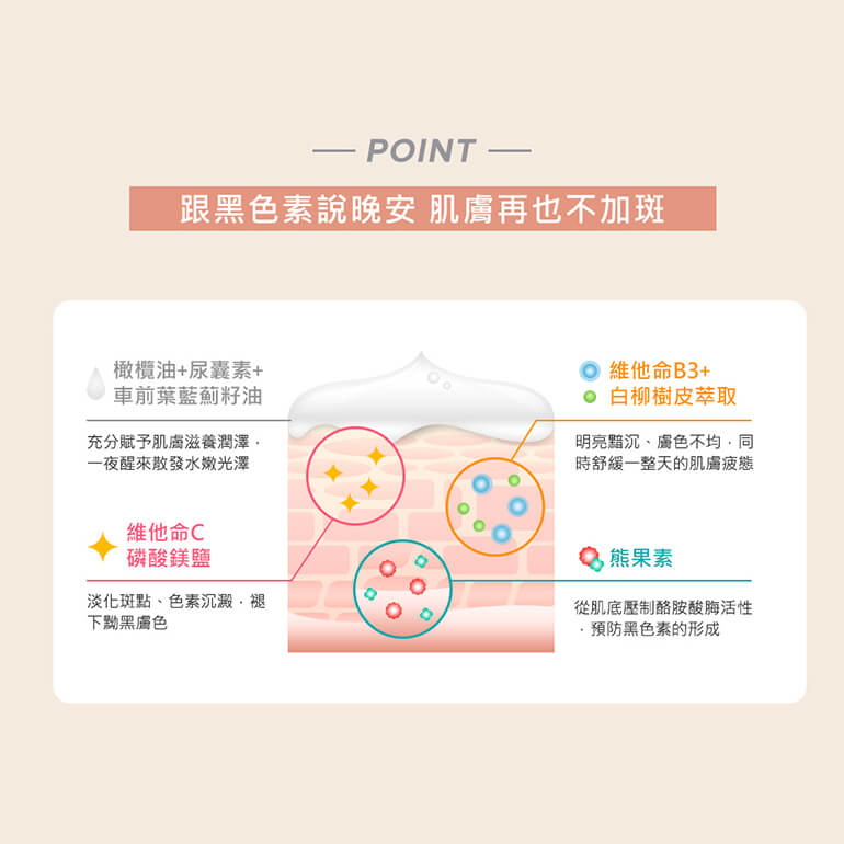 寶拉